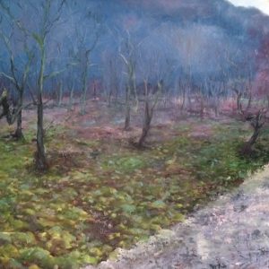 SOLD-Trees at Hardcastle Craggs, oil on board